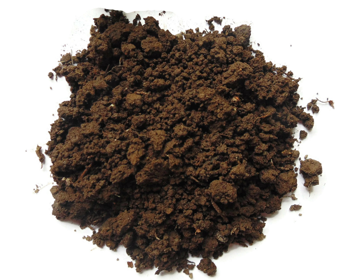 Premium Organic Soil Substrate for Terrariums, Fairy Gardens, Moss and Lichen, 8"x10" Bag